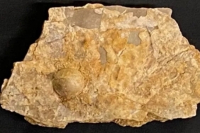 1755704407_851jpg-EQXZAwThJEWNpiMMrhLONA.jpg