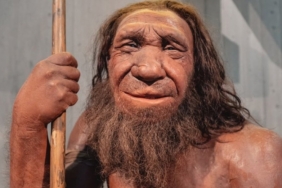 1756022827_neandertaller-ve-modern-insanlar-nerede-ciftlesti3jpeg-Uxo-hxzYxUOWqicXx1uqSw.jpeg