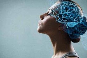 1760078107_kojpg-N8_QvT0dFk_kIPyY2AOAmA.jpg