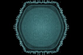 1770069906_191jpg-5tIvC2dTbEyx3Gaxz3xrZw.jpg