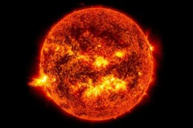 1770183366_thumbsbc799e968209a904435edbce91745b80f9jpg-xjd8cDaK5EeVmNmkprTGqA.jpg