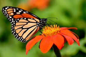 1770933666_shutterstock4916047jpg-PxOraecJcU2lG3InPXaOqw.jpg
