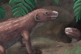 1771193526_thrinaxodonillustrationjpg-e9kOPDF31kiM3IXkv3gaTg.jpg