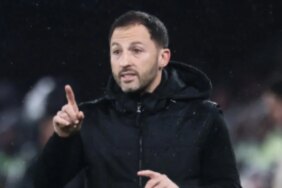 1771212186_20jpg-QctkmZTN1kC1jE_BGEuyqA.jpg