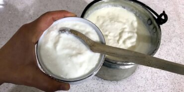 1779029826_yogurt01jpg-vuAV_4VDTEukQjrGskUj_A.jpg