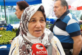 1781449086_ankapng-5CcAuRcKBU20RaVPg8aelQ.png