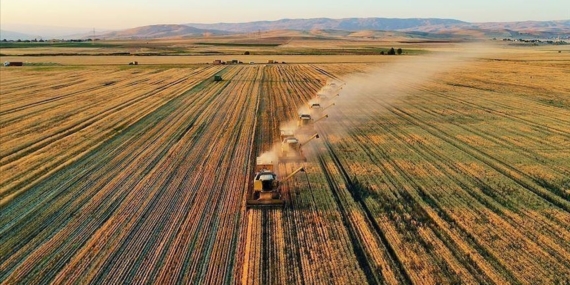 1782151807_tarimjpg-m2IrHSzM6U2r_LTGAPmscA.jpg
