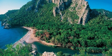 antalyada-hektar-hektar-orman-ihaleyle-kiraliga-cikiyor-tdbsVmgw.jpg