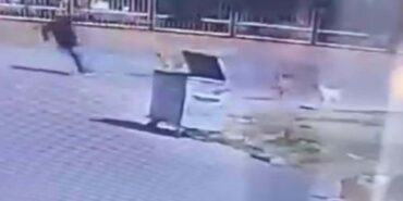 kopeklerden-kacarken-olumle-burun-buruna-geldi-N8hEHdhA.jpg