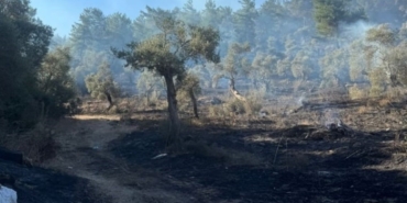 mugladaki-orman-yangini-kontrol-altina-alindi-KebfTVF7.jpg