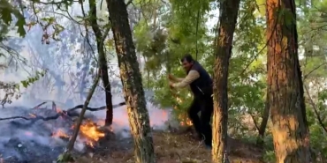 kahramanmarasta-orman-yangini-3-gundur-sondurulemedi-smVQtvjv.jpg