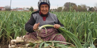 pirasanin-fiyati-bir-yilda-iki-katina-cikti-chnAEC8y.jpg