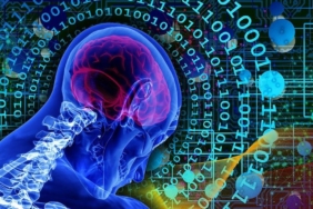 1750082647_thumbsbcc30ec87c8105bcf896f4a4bf59113d05jpg-bZaRtO-TI0ywrjYBMhbi3w.jpg