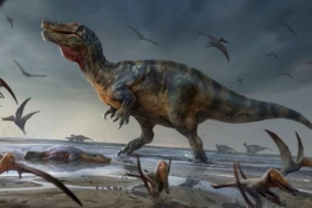 dinozorjpg-DBxyeDkzykGowsb6cy7seg.jpg