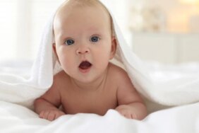 shutterstock2711913895jpg-9yubH3q5vUul7q0jiGuA4g.jpg